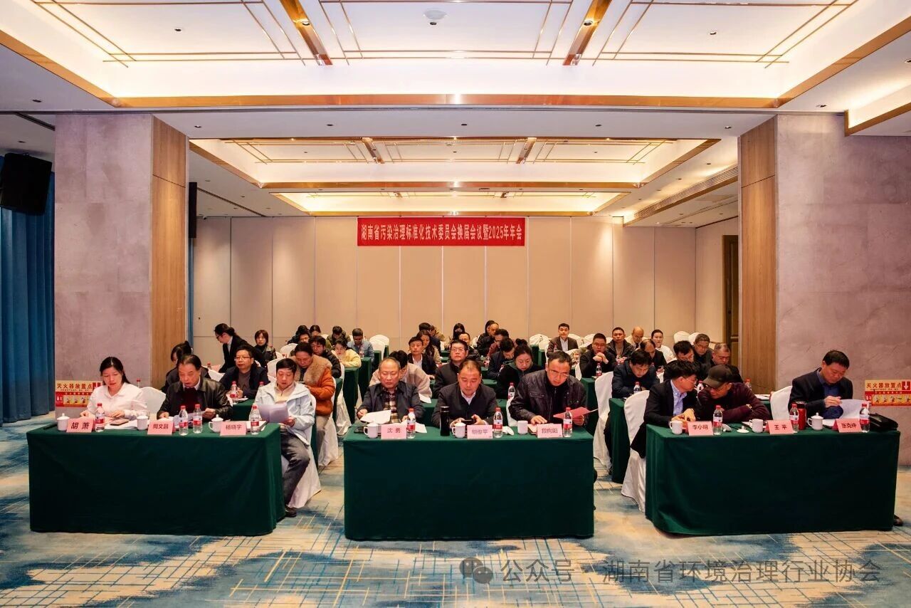 1764051696857541.jpg 6.jpg